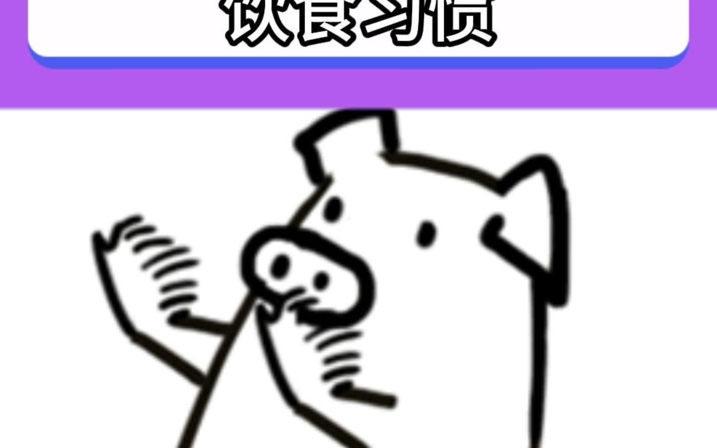 饮食习惯哔哩哔哩bilibili