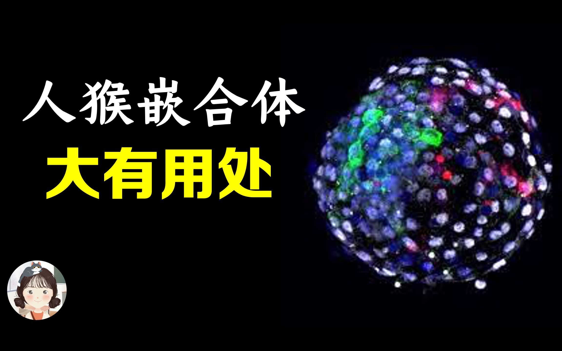 活动作品科学家造出首个人猴嵌合体它们有什么用