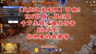 Download Video: 【火炬之光无限】召唤2，11万护盾，挂45层千万生存，爆庄伤害BD分享!你想要的我都有