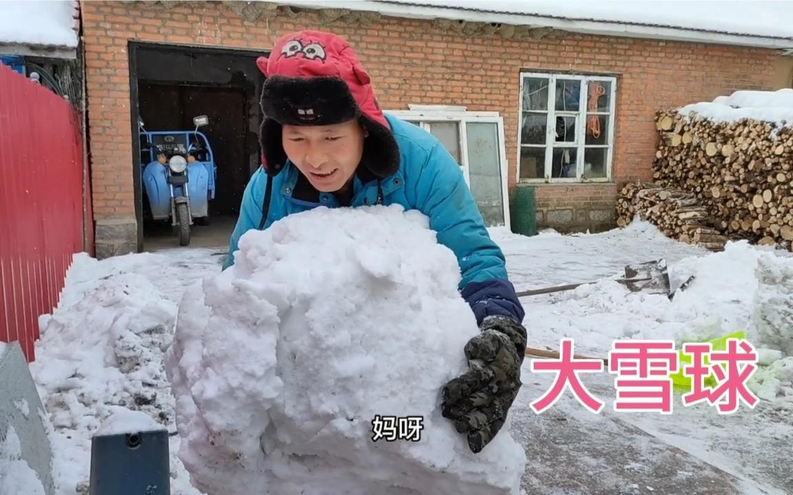 [图]东北大雪封山，家家户户忙着扫雪，