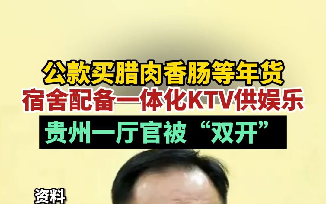 公款买腊肉香肠等年货,宿舍配备一体化KTV供娱乐,贵州一厅官被”双开“哔哩哔哩bilibili