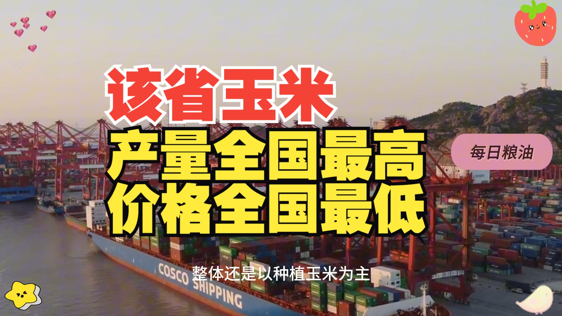 增储消息频传 但玉米价格存在超跌可能;黑龙江玉米产量最高但粮价也是全国最低哔哩哔哩bilibili