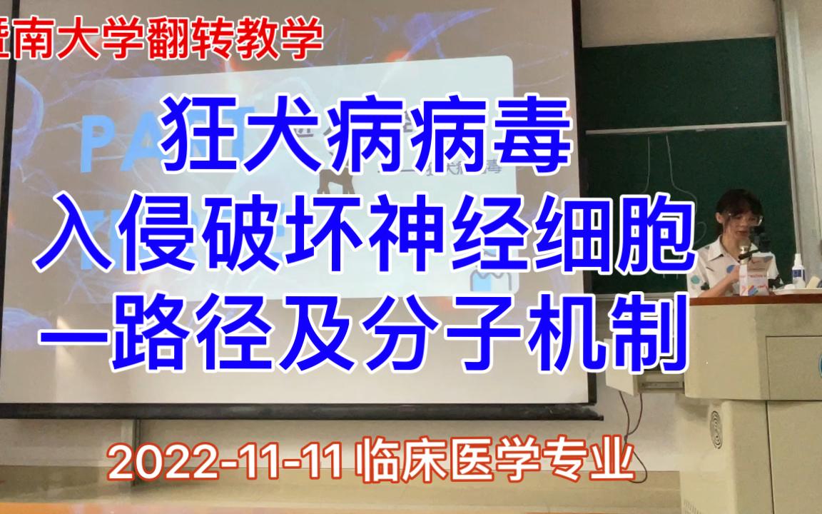 狂犬病病毒入侵破坏神经细胞—路径及分子机制哔哩哔哩bilibili