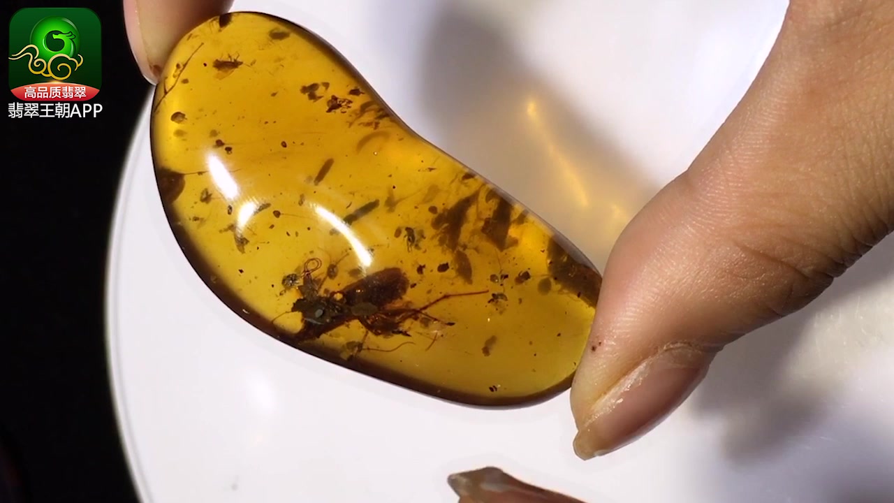 翡翠王朝琥珀讲解远古螳螂虫珀稀有品_哔哩哔哩_bilibili