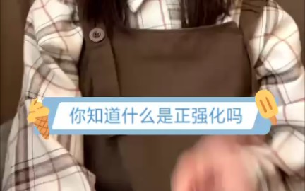 你知道什么是正强化吗哔哩哔哩bilibili