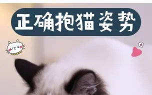 Télécharger la video: 千万不要这样抱猫，不仅伤猫还容易被抓伤！