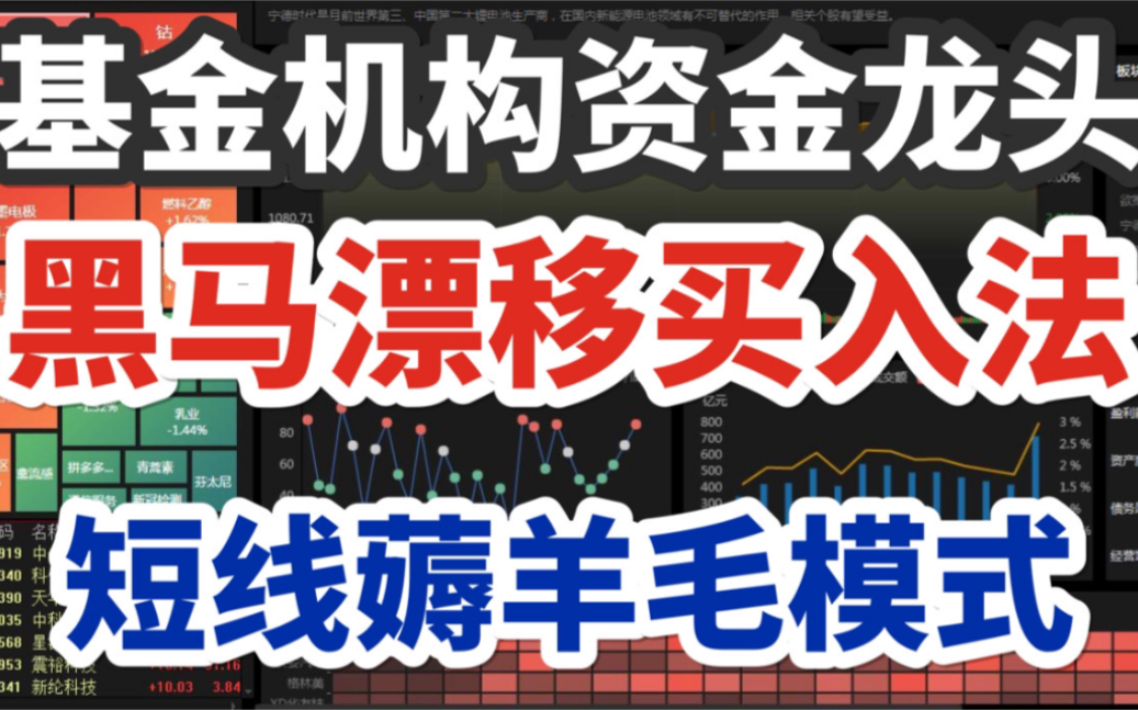 基金机构资金龙头,短线薅羊毛模式,黑马漂移买入法!哔哩哔哩bilibili