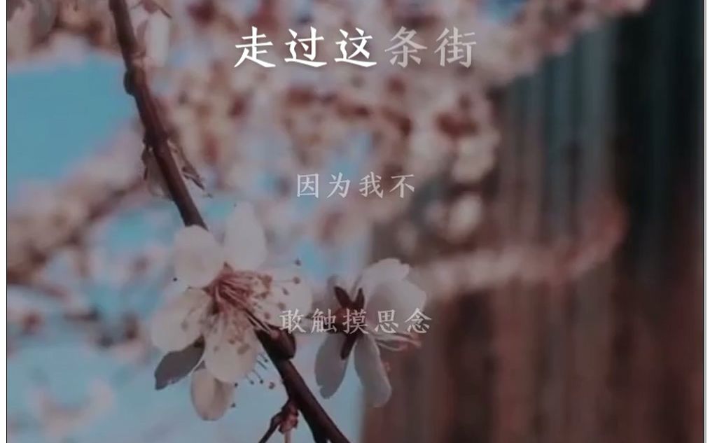 陶波在全民K歌上翻唱的《这条街》,我能单曲循环一整天!哔哩哔哩bilibili