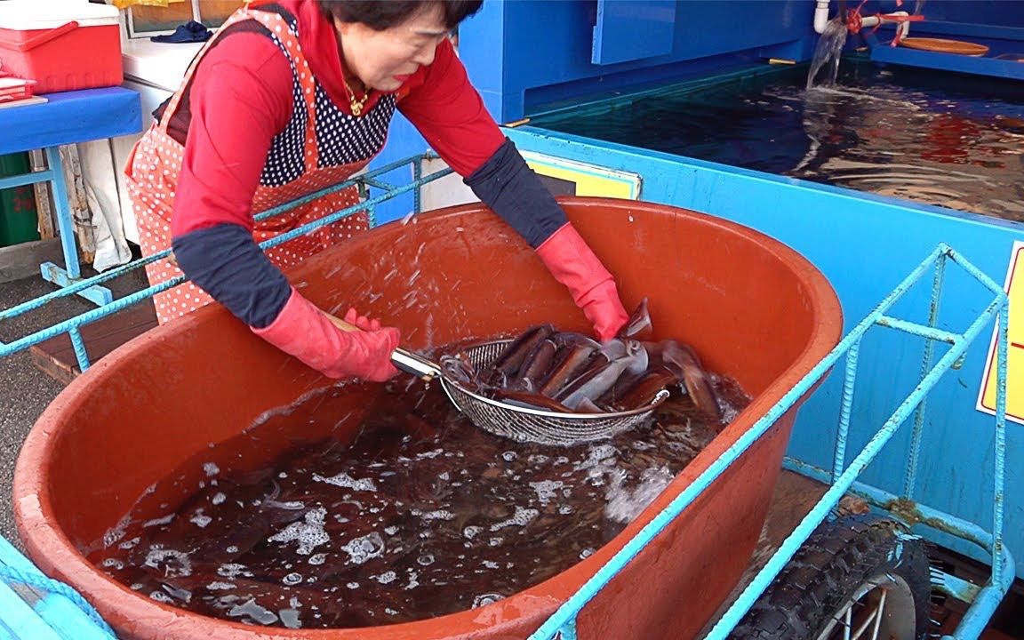 海港街上令人惊叹的鱿鱼餐厅 | 鱿鱼刺身、清蒸鱿鱼、鱿鱼拉面  韩国街头小吃哔哩哔哩bilibili