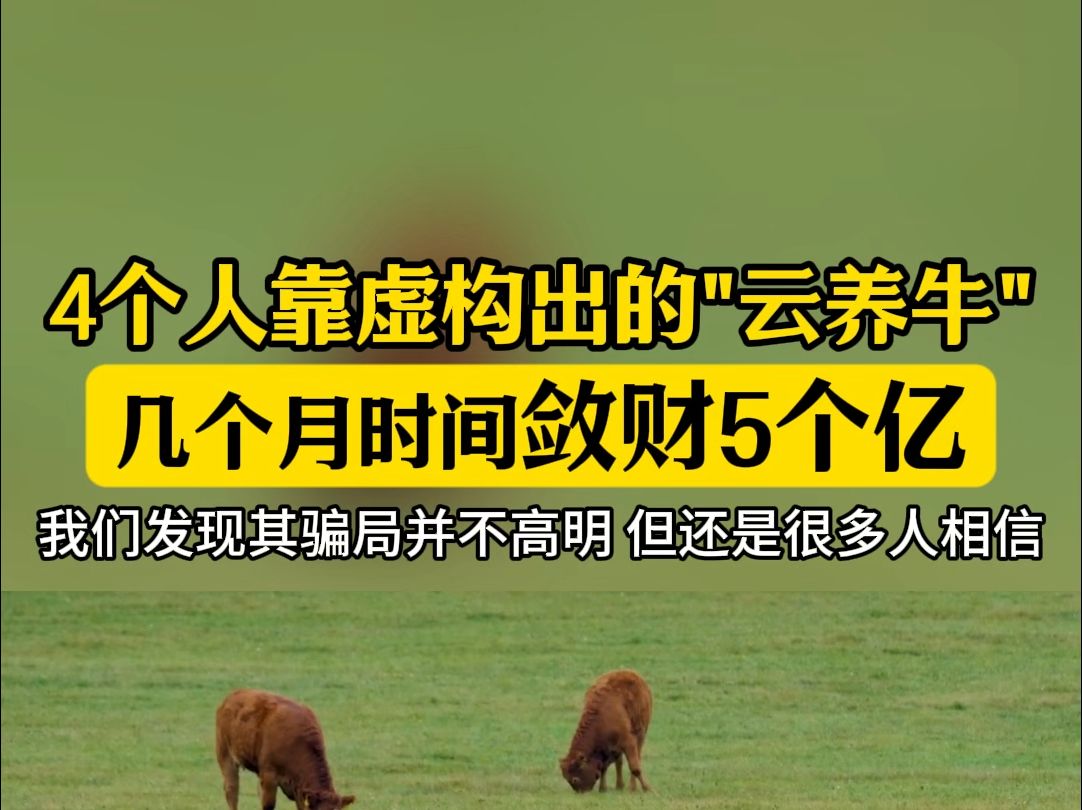 靠着虚构的“云养你”,4个人就忽悠了5个亿,这种类型的非法集资案件需警惕.#非法集资案 #传销骗局 #正能量哔哩哔哩bilibili