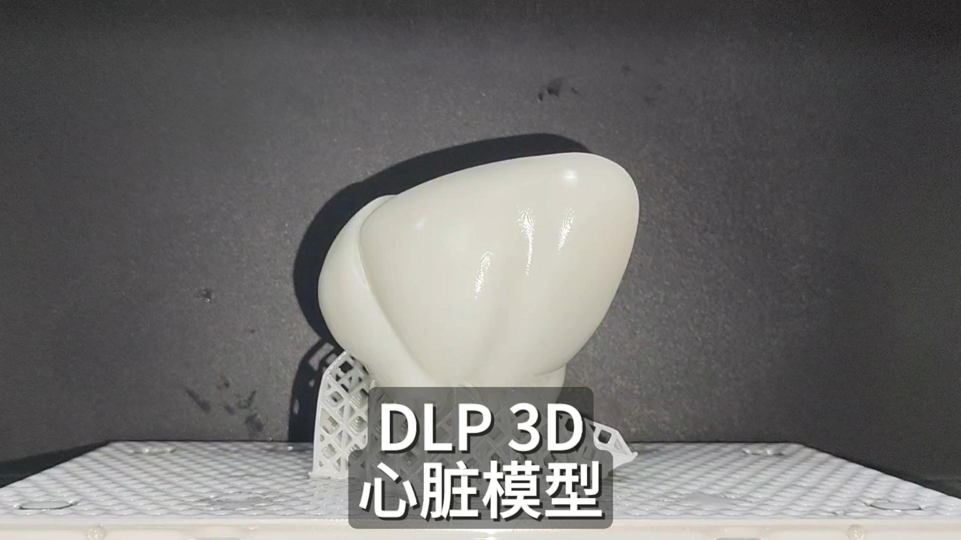 DLP 3D心脏模型哔哩哔哩bilibili