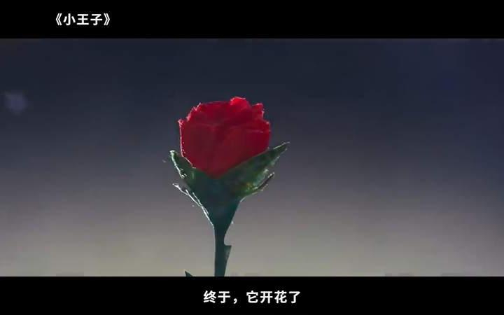 人生必看电影小王子(中)哔哩哔哩bilibili