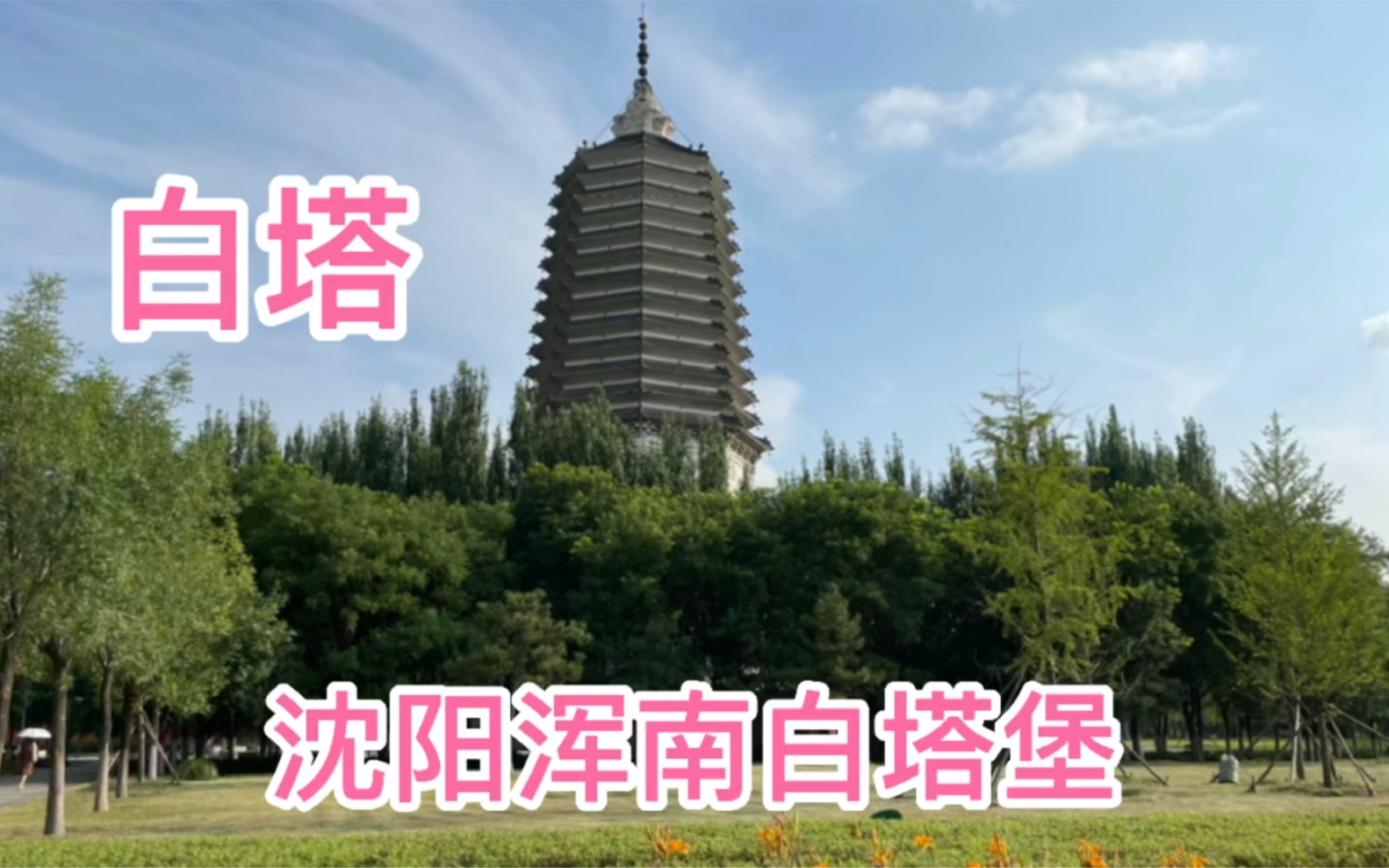 沈阳城南白塔镇,曾经的小镇,今日俨然成为新城区