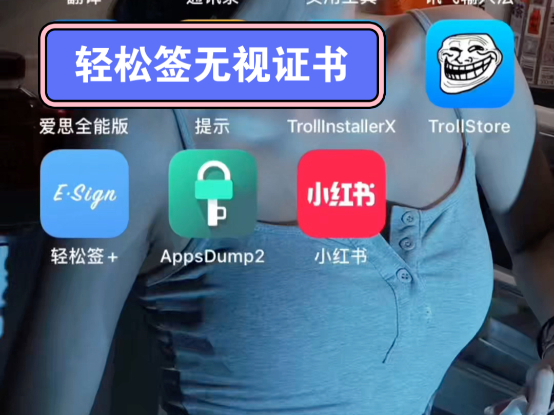 苹果轻松签无视证书永久安装哔哩哔哩bilibili