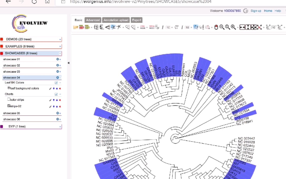 基因进化树的构建和美化(下) 【evolview网站美化进化树②】哔哩哔哩bilibili