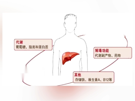 多好的洗洁精,你值得拥有哔哩哔哩bilibili