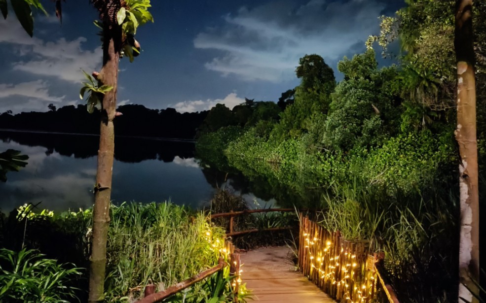 night safari夜间动物园