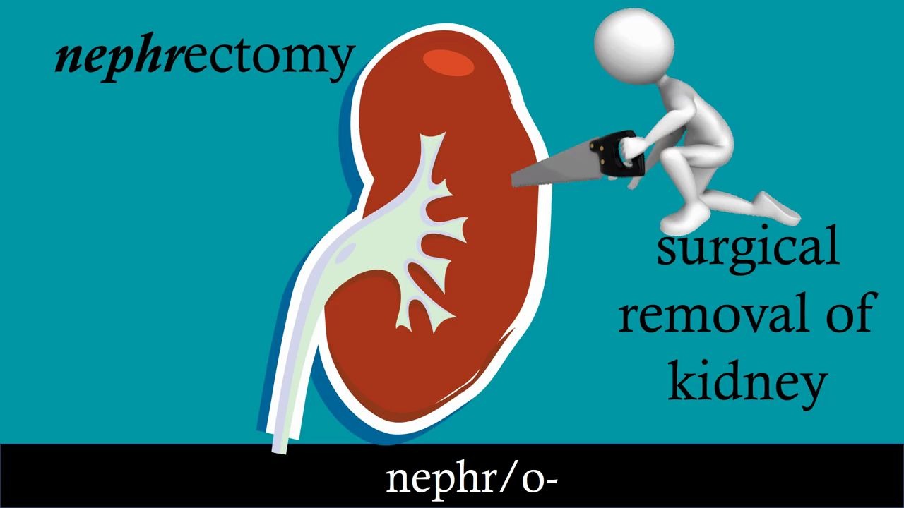 曟珵豝欐x(~豝Ψ煁蕈鑺y瀡栕珰)钖2