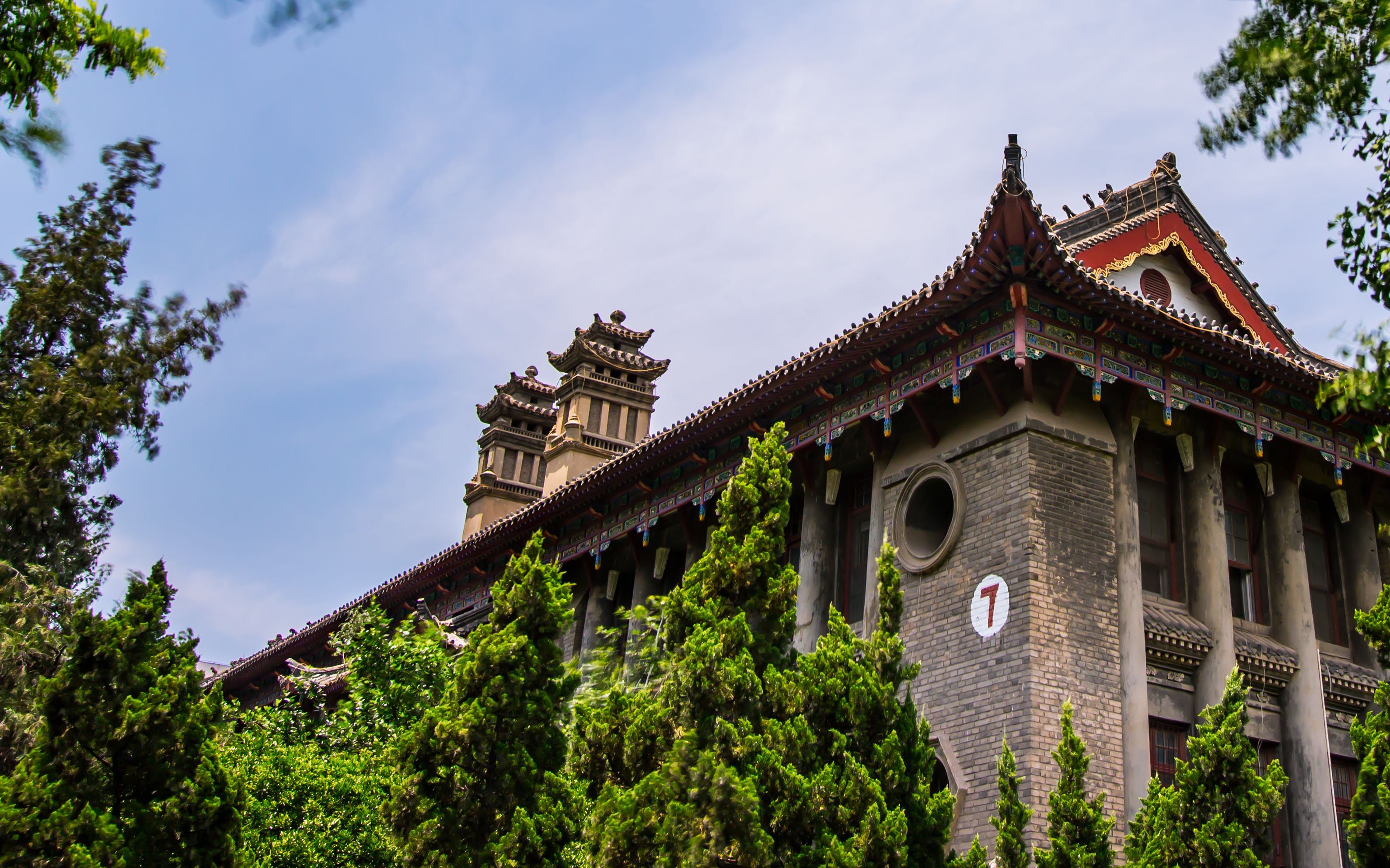 河南大学河大版往后余生flv