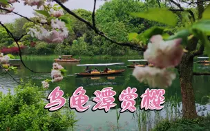 Download Video: 杭州西湖边的乌龟潭景区又到了最美的时候了，河边晚樱🌸开得正盛，粉嫩粉嫩的，乌龟潭绿意盎然，春意正浓，湖光十色，真让人流连忘返！