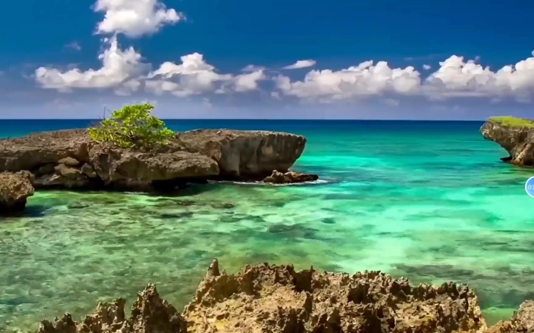 活动  手机必备资源神器,全网资源任你搜索下载免费小说漫画