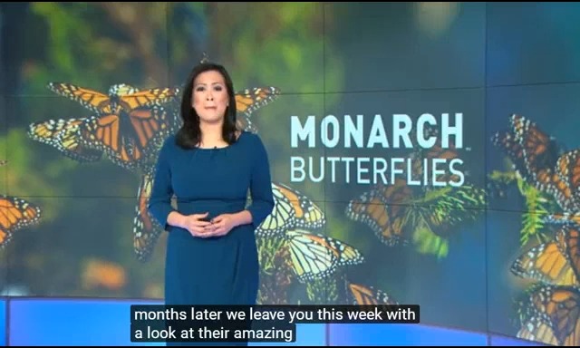 外研社必修一Unit 5补充视频: 英文字幕 黑脉金斑蝶的迁徙 Monarch butterflies哔哩哔哩bilibili