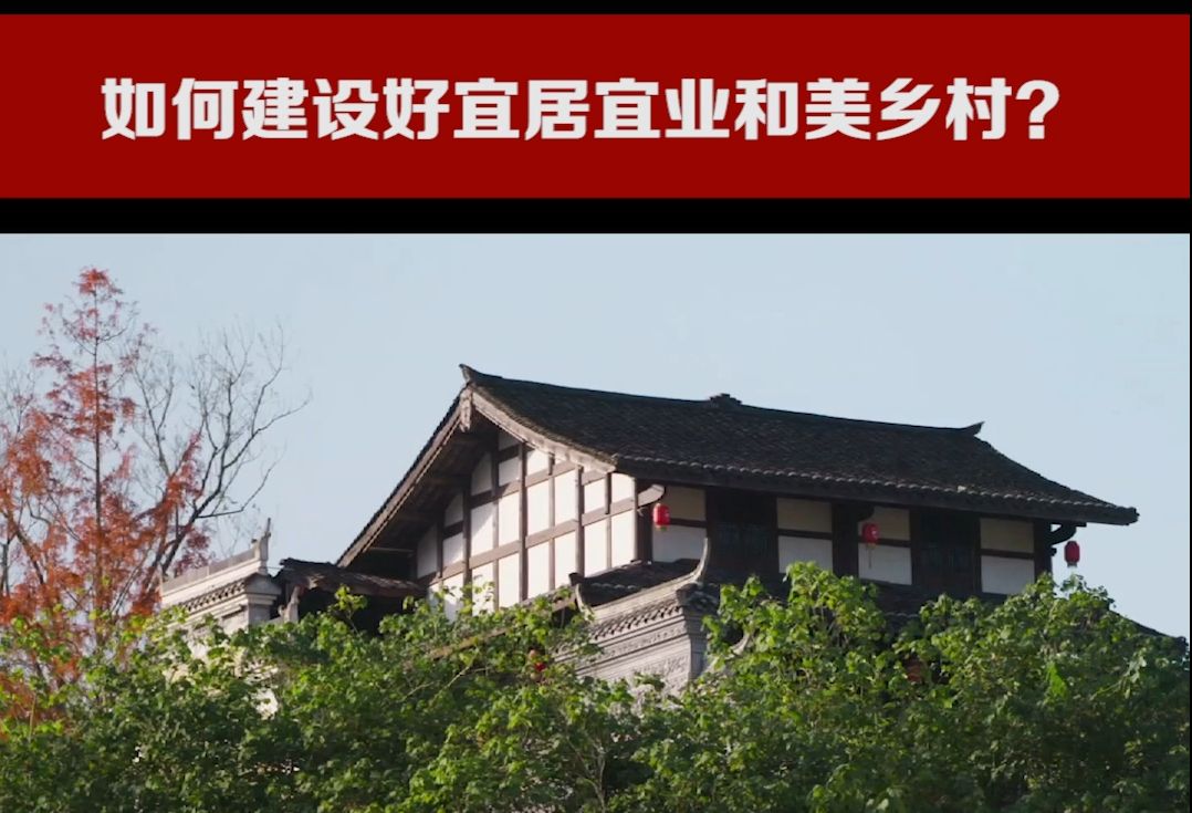 【金沙讲坛】如何建设好宜居宜业和美乡村?哔哩哔哩bilibili