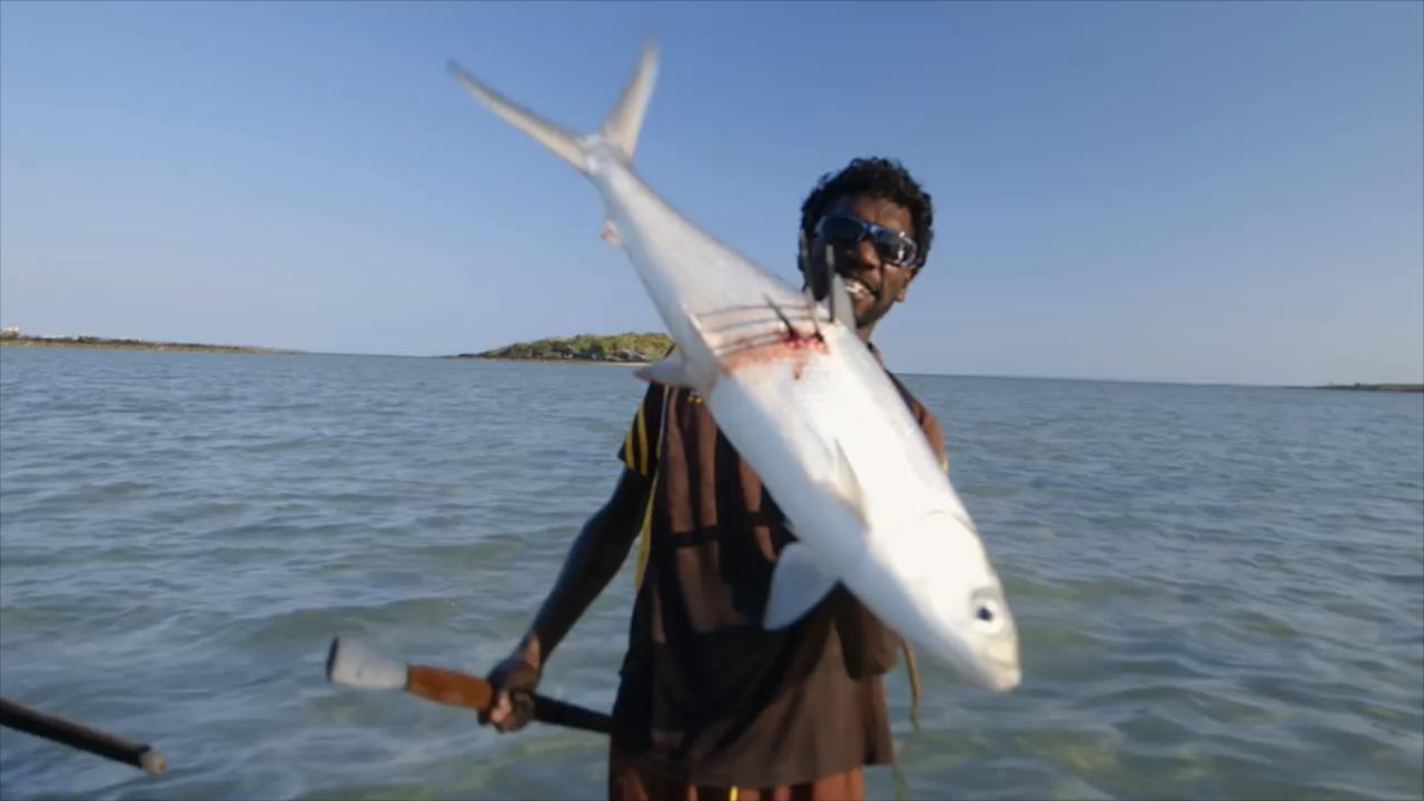 渔民海滩叉鱼,一叉一个准,这眼力太好了吧