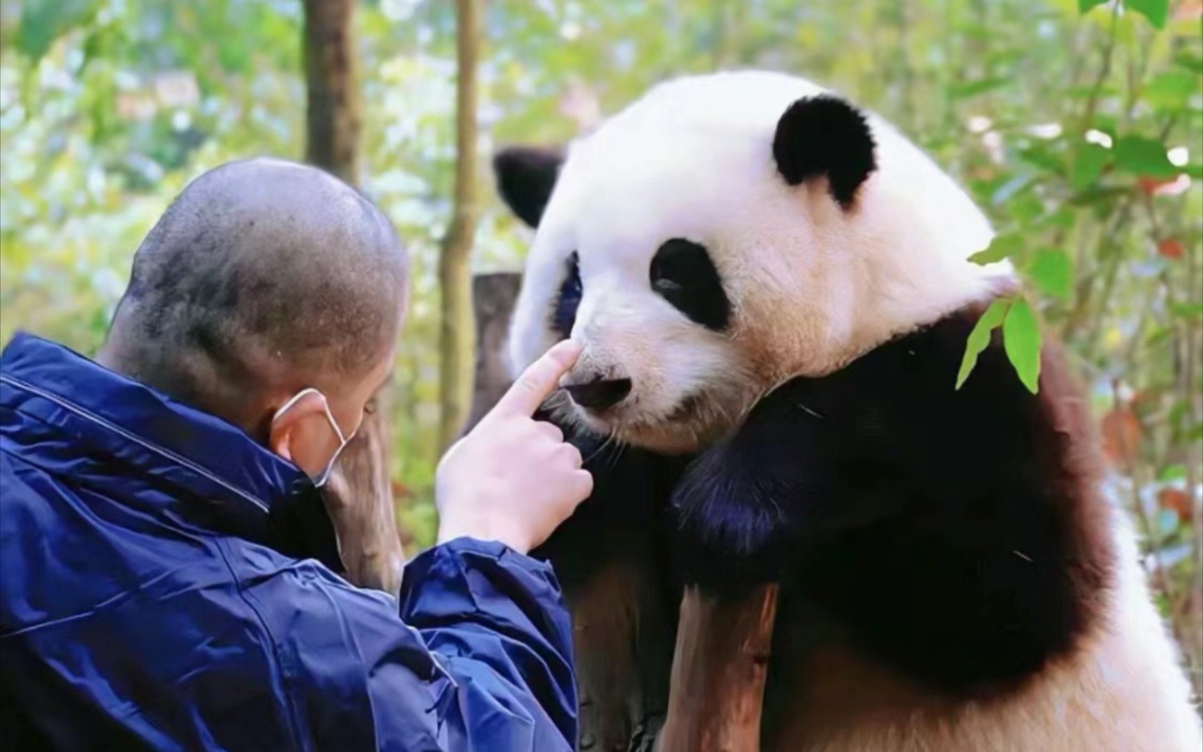 最好的谭棉花组合,谭爷爷和花花的双向奔赴!