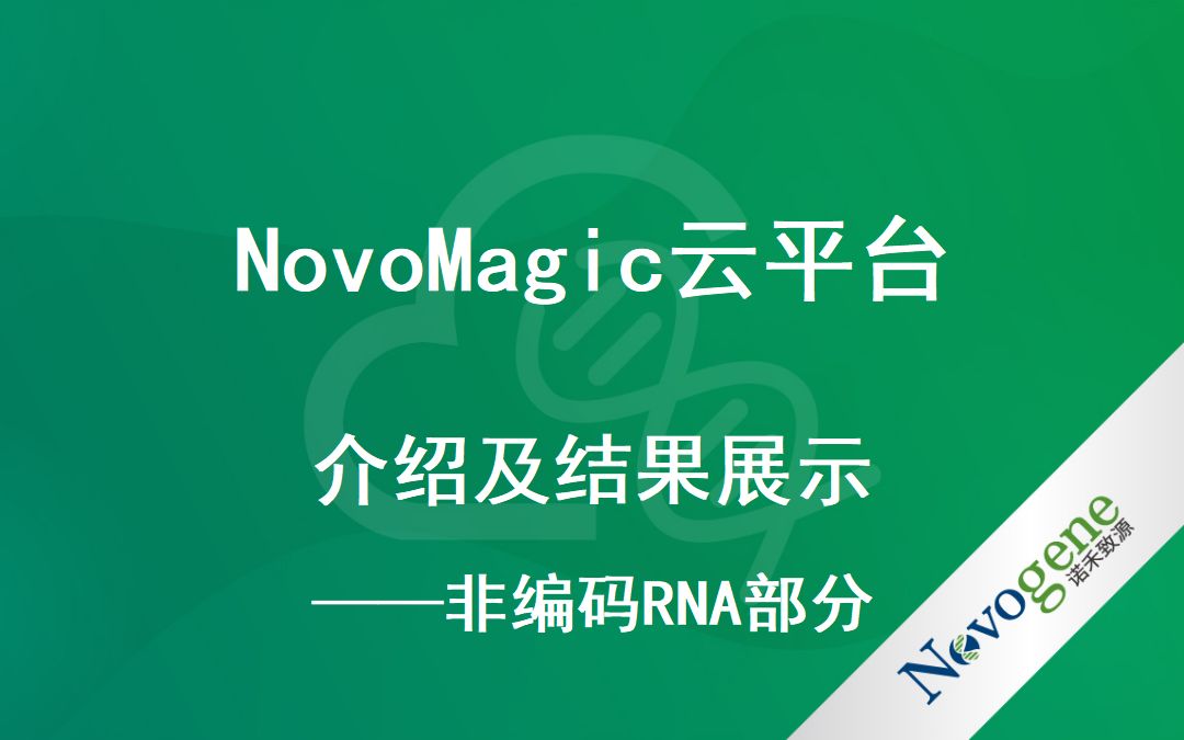 诺禾致源novomagic云平台介绍及结果展示非编码RNA部分哔哩哔哩bilibili