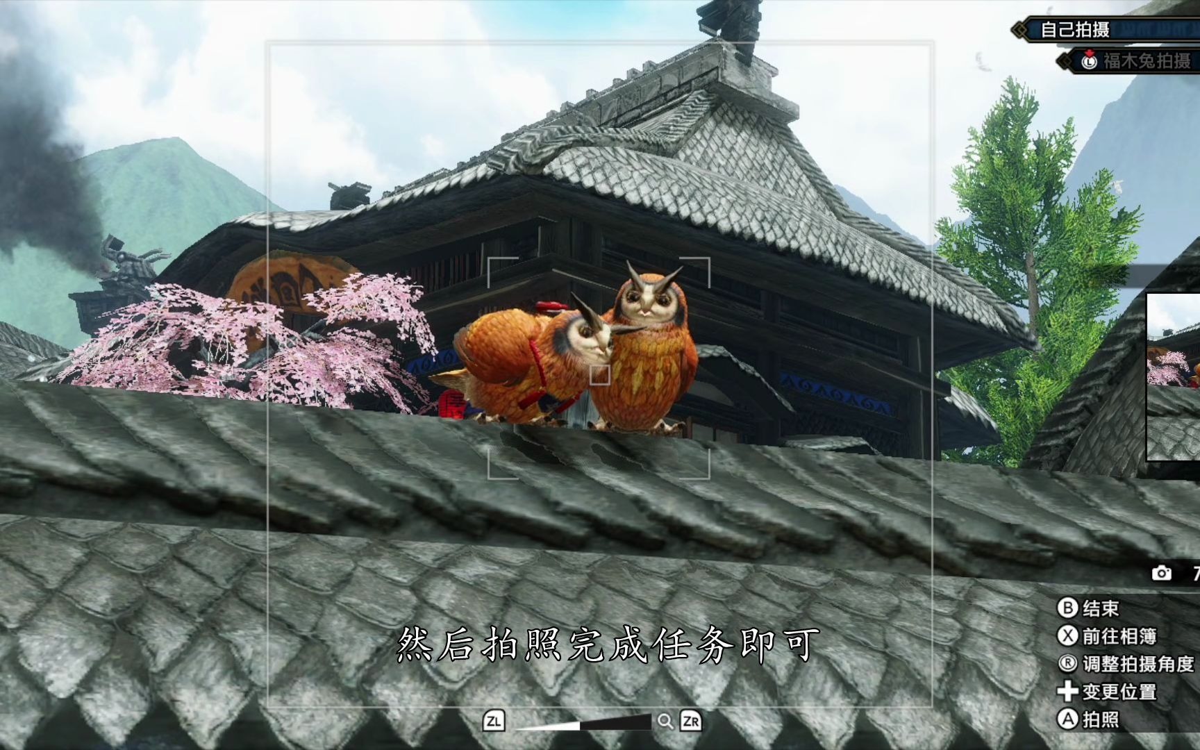 活动作品怪物猎人崛起快速完成给福木兔拍照任务