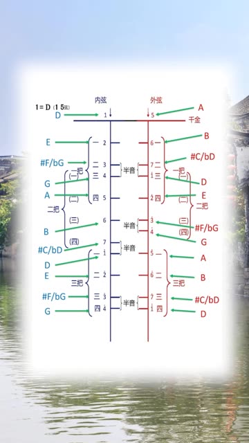 二胡d调详细把位图