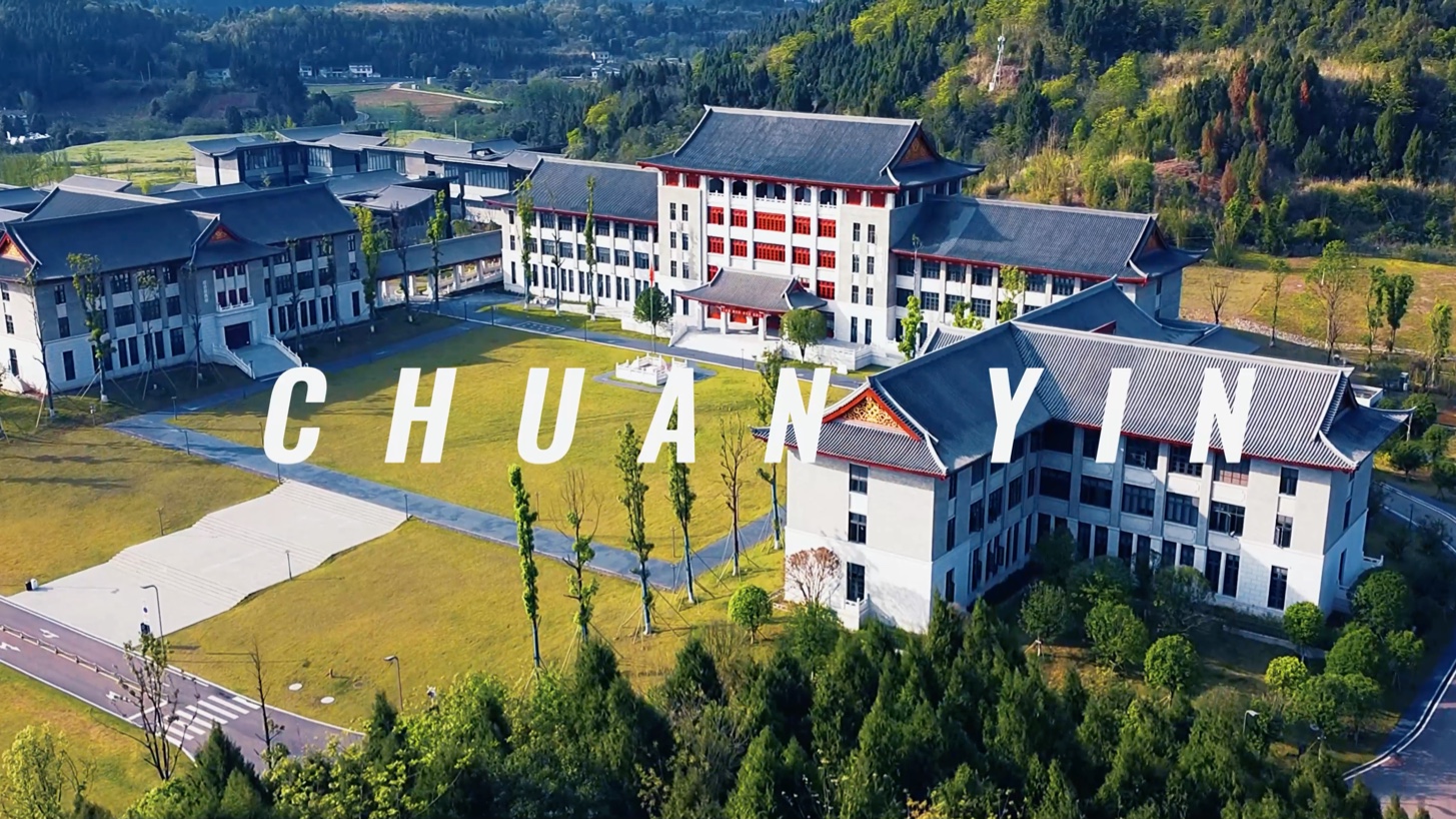川音成都美术学院在读临空校区第一届学生,一个航拍带你看川音美院