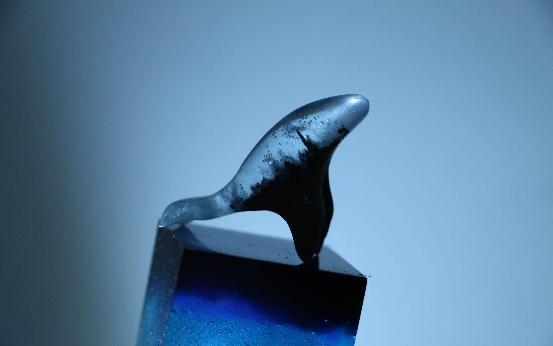 【滴胶】临摹大神滴胶鲸鱼制作过程