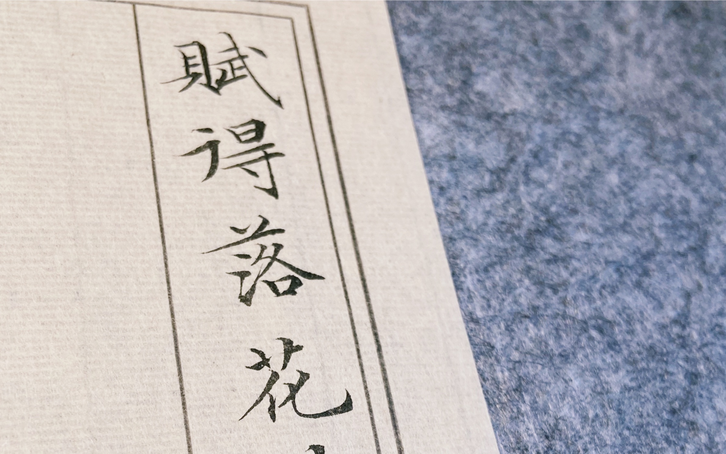 文徵明落花诗册只看一眼就爱上的小楷