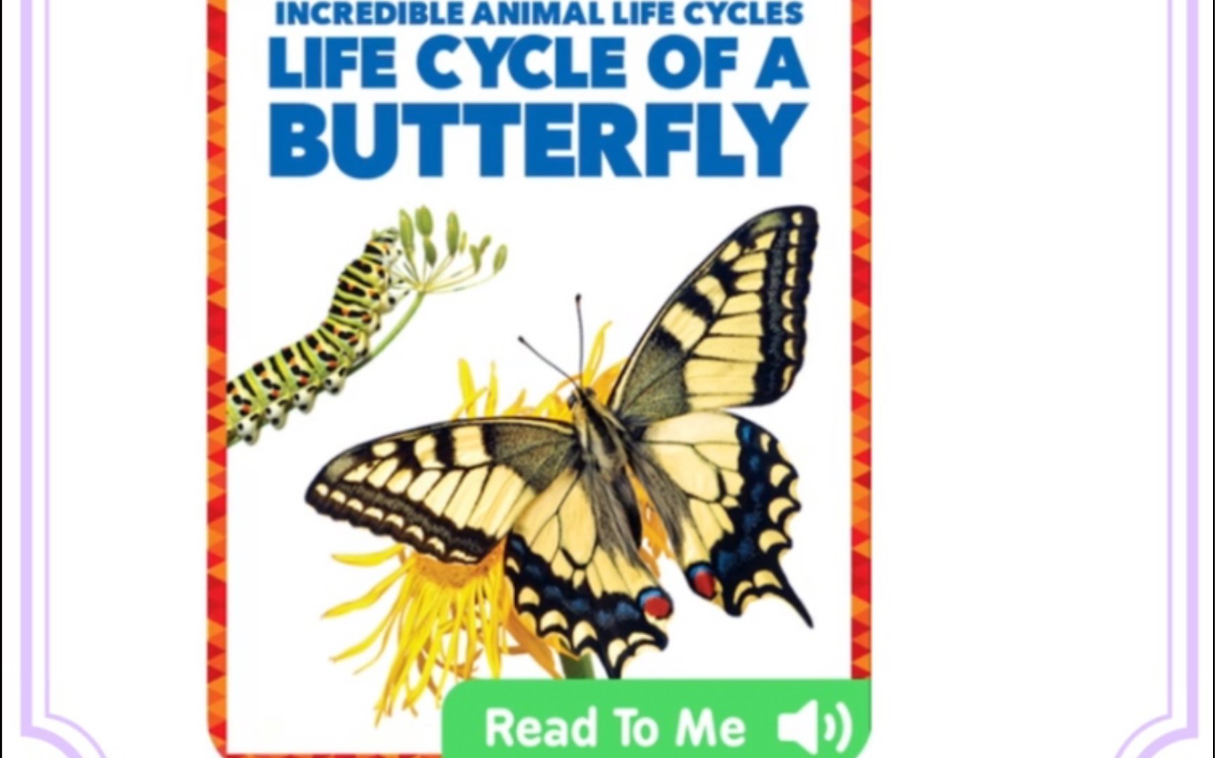 [图]Incredible Animal Life Cycle: Life Cycle of a Butterfly 听英文，看看蝴蝶的生命循环