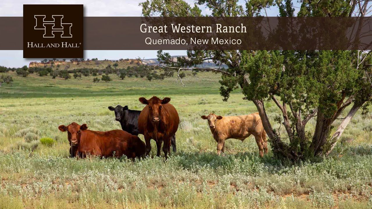 新墨西哥州牧场出售