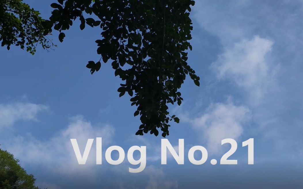 Vlog No.21#湛江 | 爸爸带我钓鱼 ⷠ螺岗小镇 ⷠ“后花园”湖光岩散步 ⷠ粤式美食哔哩哔哩bilibili