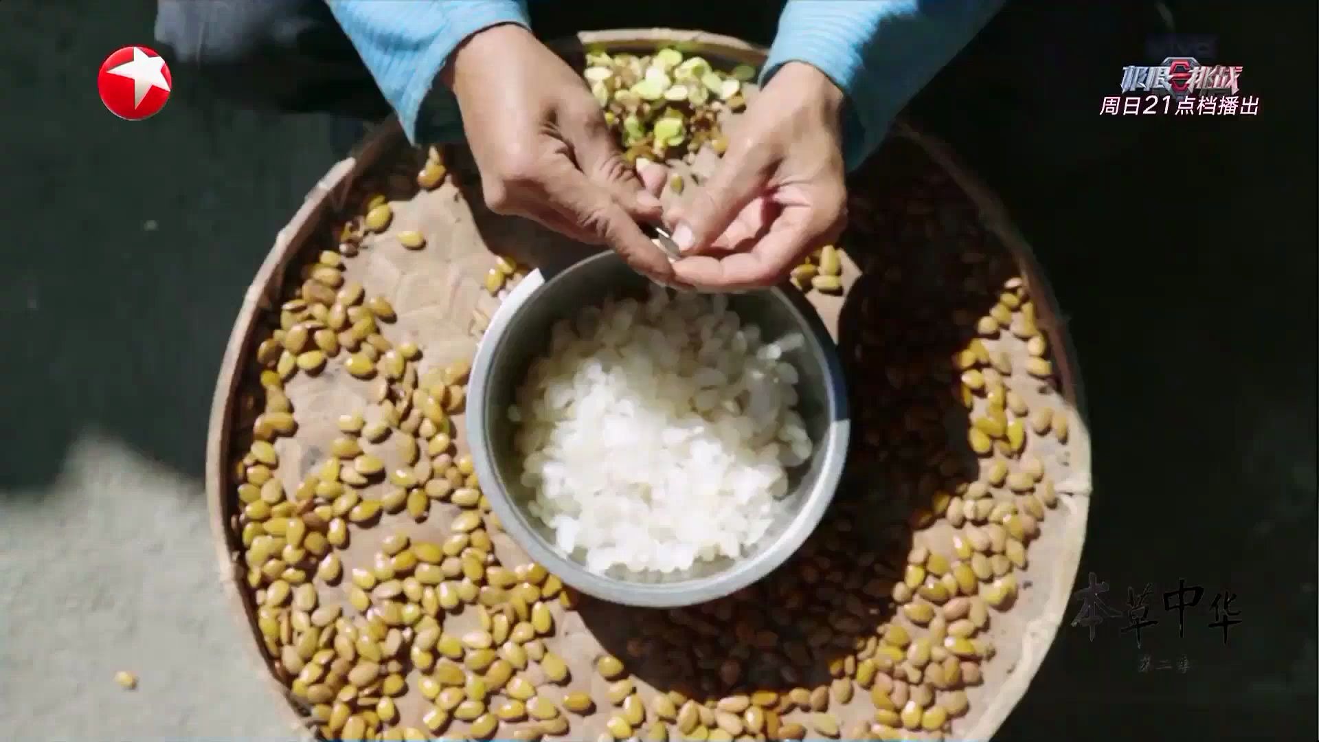 [图]【本草中华2】丰饶的自然之境孕育了千姿百态的中华本草，中医药对人类生命的守护，延续了对人类智慧的给养