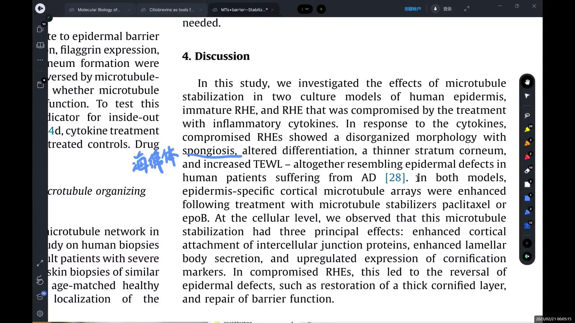 文献阅读 微管与表皮屏障 讨论哔哩哔哩bilibili