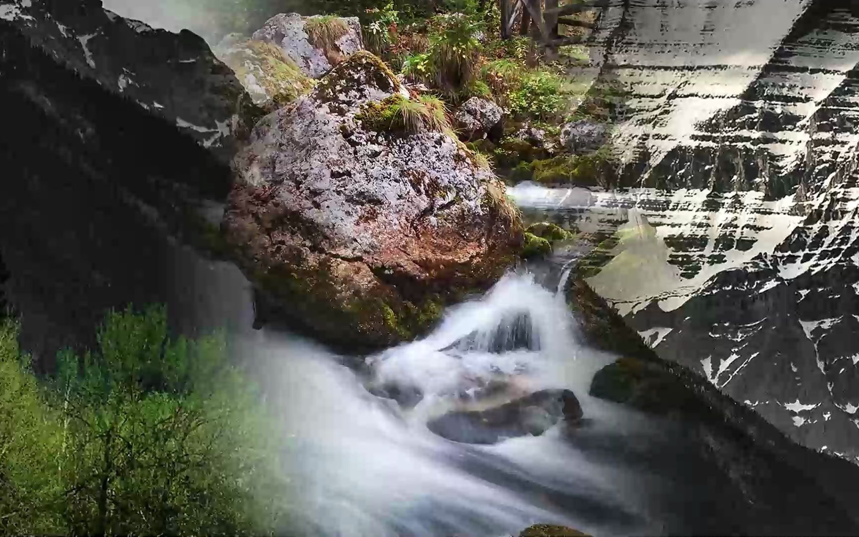 村西边王老师写作实战营第3期