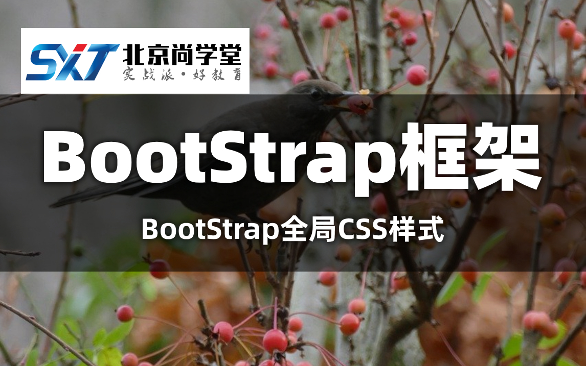 Web前端开发bootstrap框架视频Bootstrap前端框架Web前端开发之Bootstrap了解BootStrap的特点和优势HTML/CSS哔哩哔哩bilibili