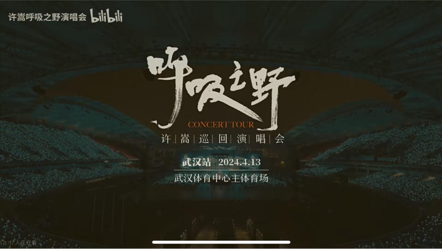 许嵩2024呼吸之野巡回演唱会武汉站全程实录818看台饭拍版