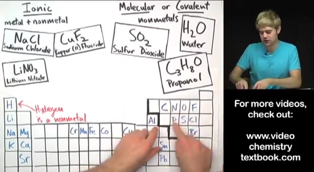 Ionic vs. Molecular哔哩哔哩bilibili