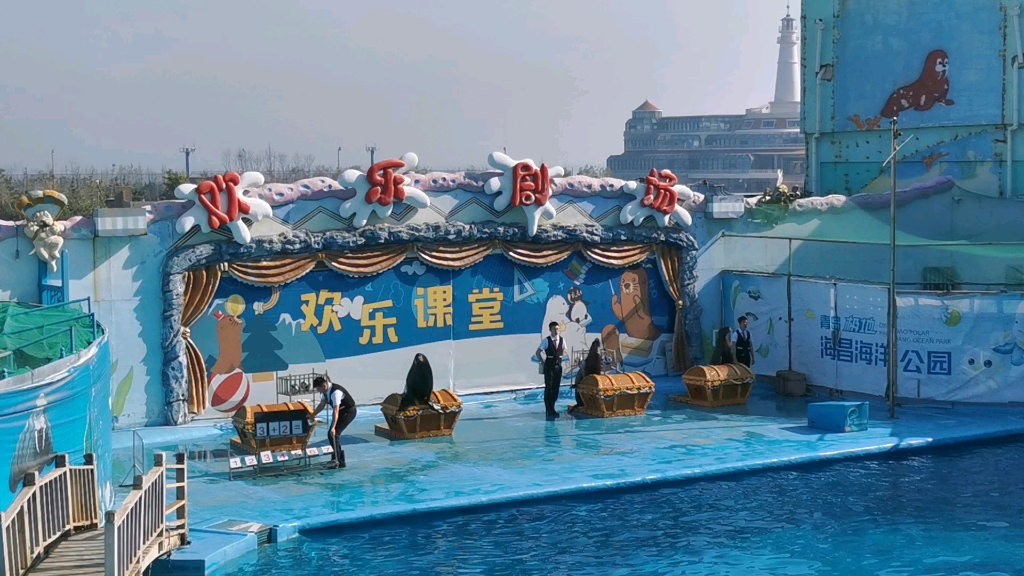 青岛极地海洋公园.欢乐剧场