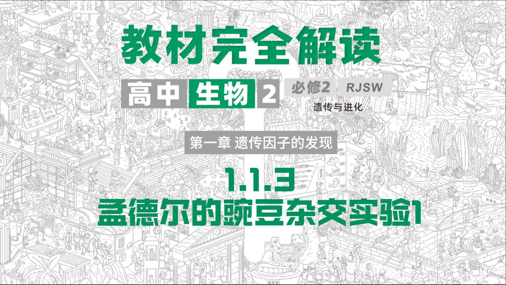 高中生物‖必修二精讲,1.3孟德尔豌豆杂交实验1,教材完全解读超详细讲解,建议收藏!哔哩哔哩bilibili