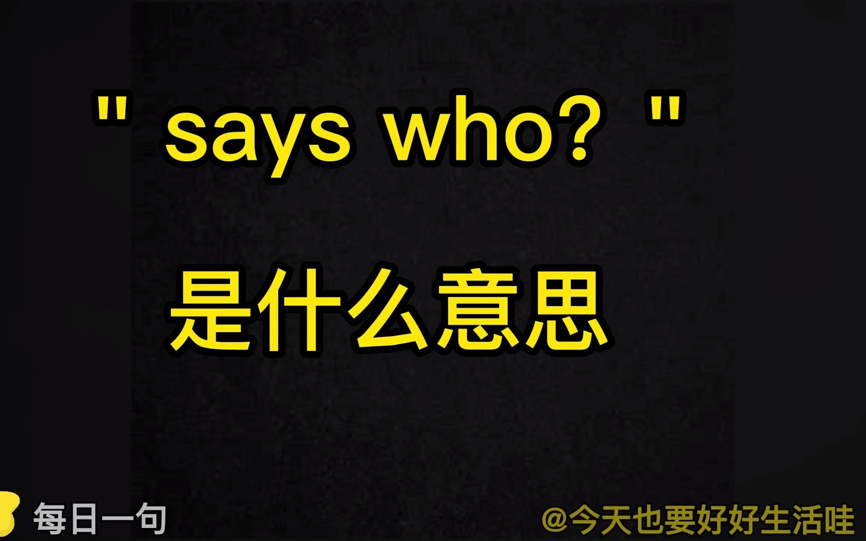 Day32, 每日一句英语语流积累|“Says who ?”是什么意思?哔哩哔哩bilibili