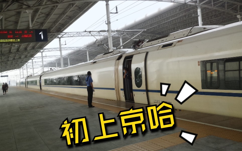 【雨天ⷤ𚬥“ˆ】沈丹G8108次(吉林丹东)进京哈线开原西站 CRH380BG哔哩哔哩bilibili