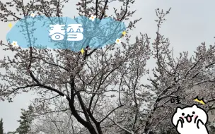 下载视频: 春雪