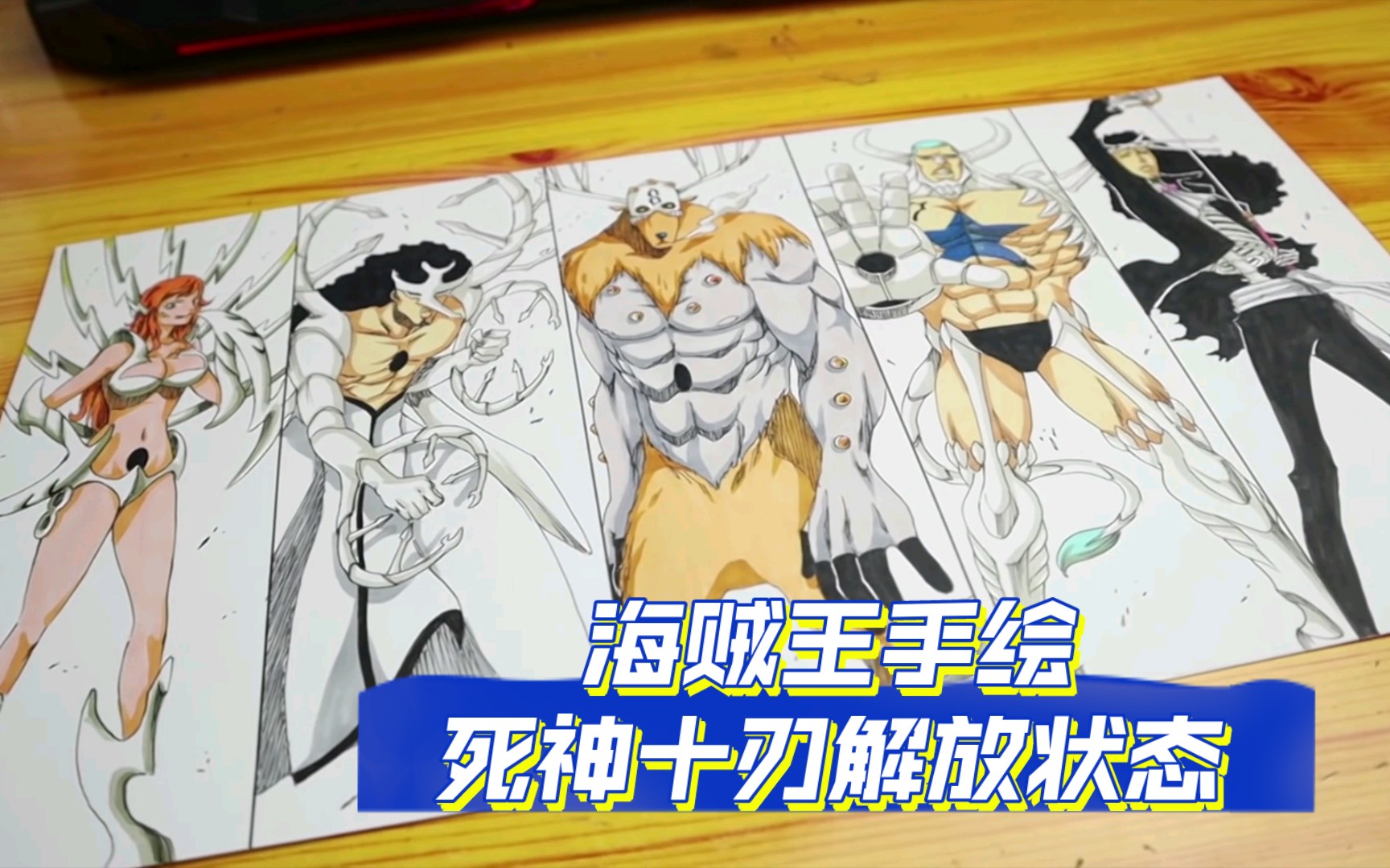 海贼王手绘 死神十刃 解放状态